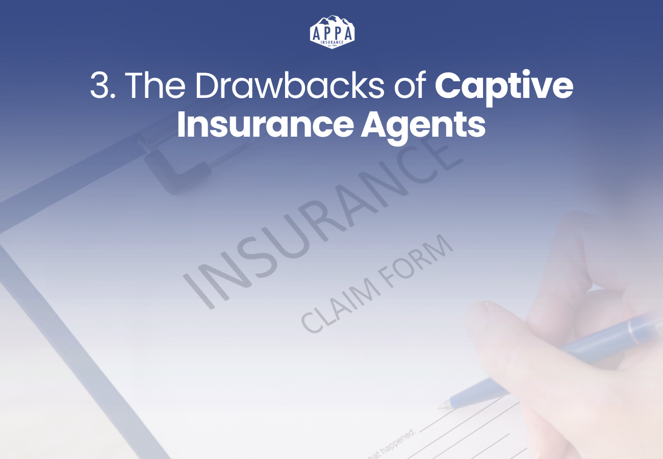 Independent Insurance Agent
