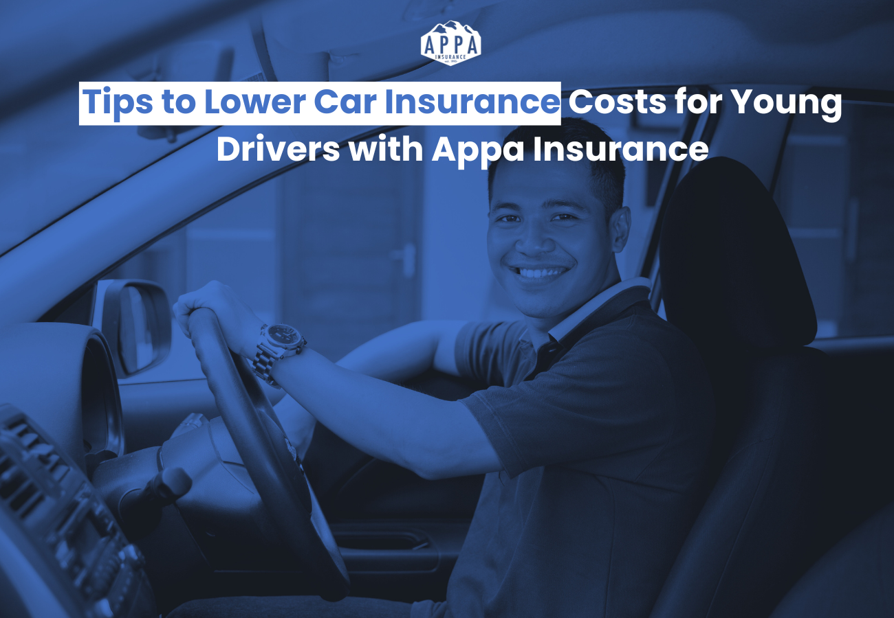 Tips to Lower Car Insurance Costs for Young Drivers with Appa Insurance ...
